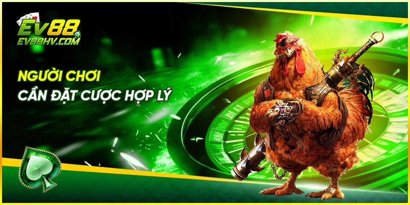 Người chơi cần đặt cược hợp lý