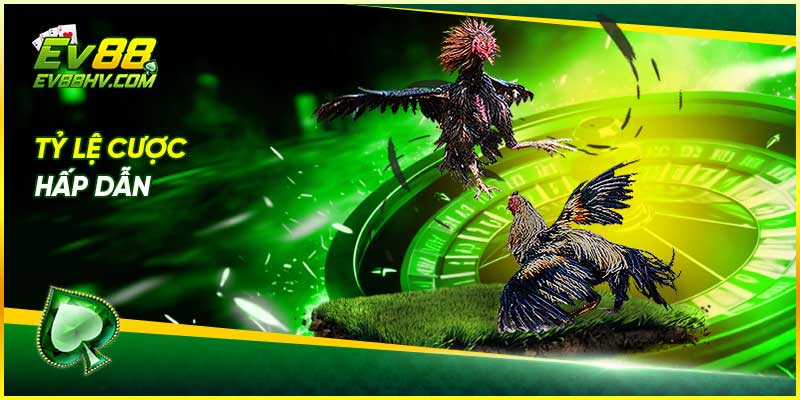 Tỷ lệ cược hấp dẫn